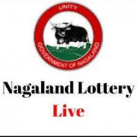 nagalandstatelotery5