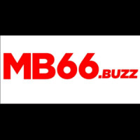 mb66buzz