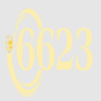 6623vnclub