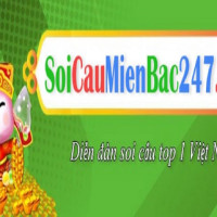 soicau247dessig