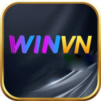 winvnzcom