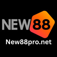 new88pronet