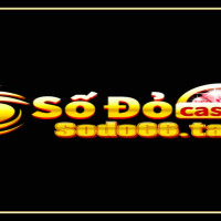 sodo66taxi