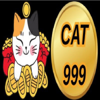 cat999dev