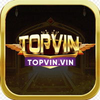 topvinvin