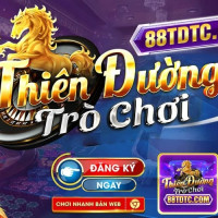 88tdtccom