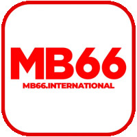 mb66international