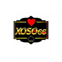 xoso66observer