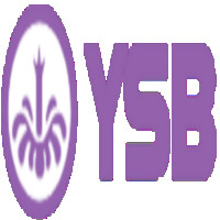 Ysb66xncom