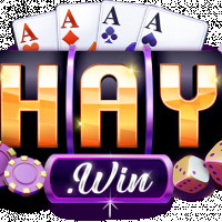 1haywintech