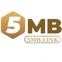 5mblink