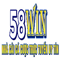58winvipskin