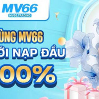 mv66trading
