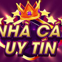 nhacaiuytinul