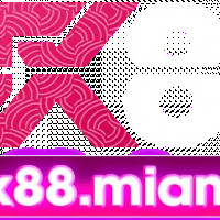 tx88miami