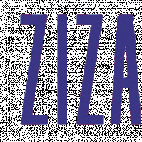 zizagoalxy