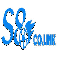 S8colink