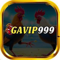 gavip999abc