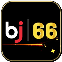 bj66j96t