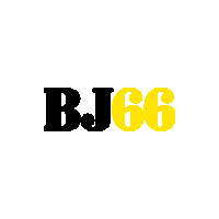 bj66fit