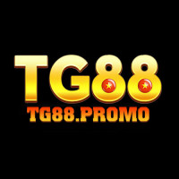 tg88promo