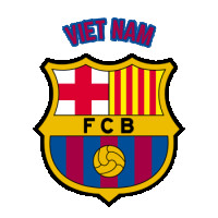 barcelonafcvncom
