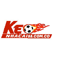 haquoctrungkeonhacai5