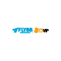 fly88cscncom