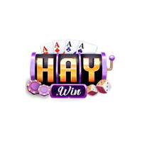 Haywin1network