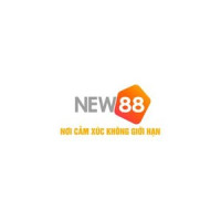new882info6