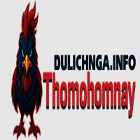 thomohomnaydulichnga