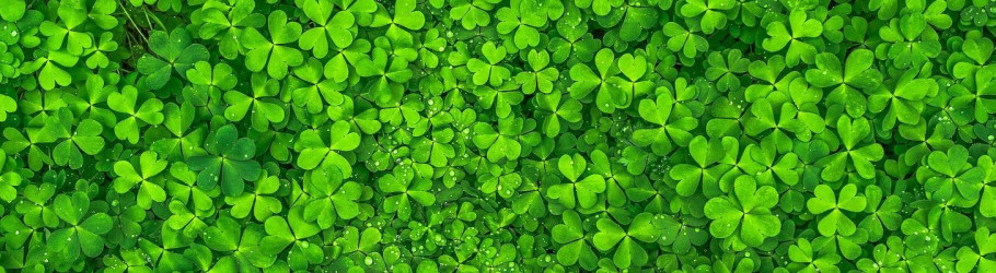 greenlandscapes