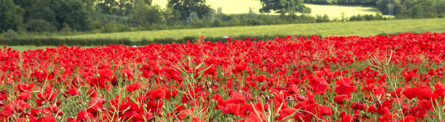 mendingheartsretreat