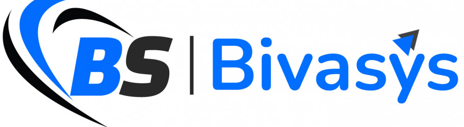 Bivasys IT Solutions