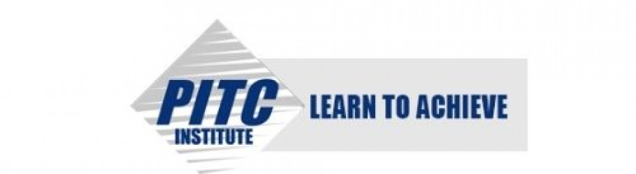 pitcinstitute