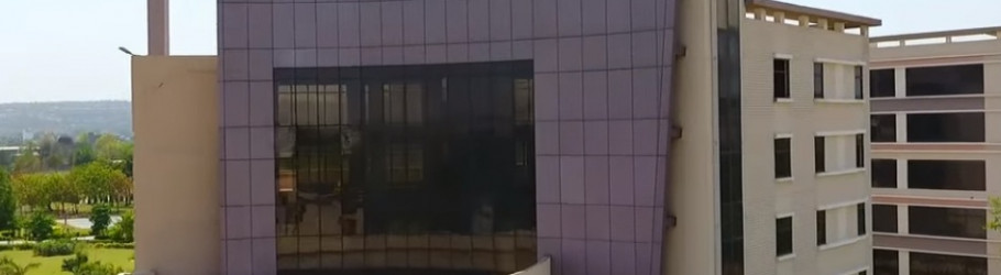 GD Goenka University