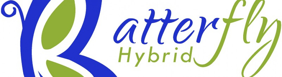 batterflyhybrid741