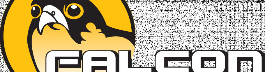 Falconsafari