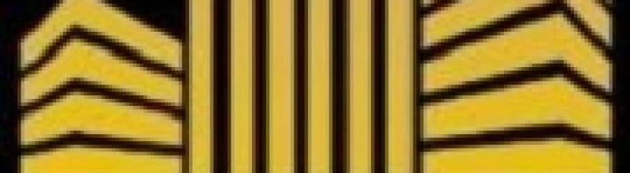 SSContractorsChicagoIL1