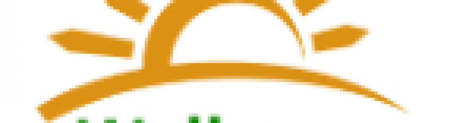 wellcure3
