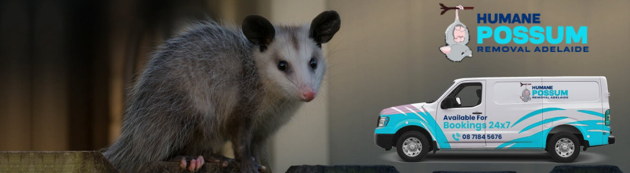 HumanePossums