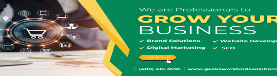 geeksworldwidesolutions