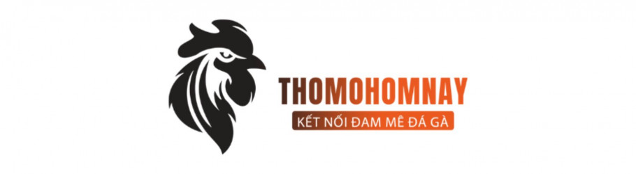 thomodagahomnay