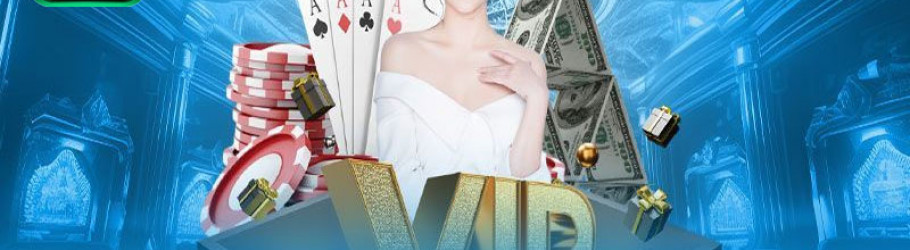 W881vip
