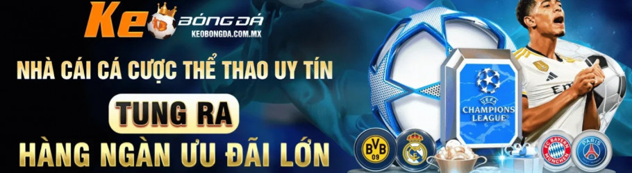 trandonghaikeobongda