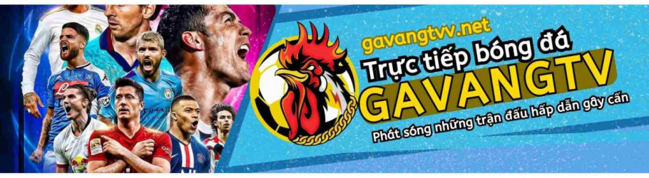 gavangtvvnet