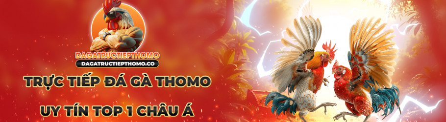 dagatructiepthomoco
