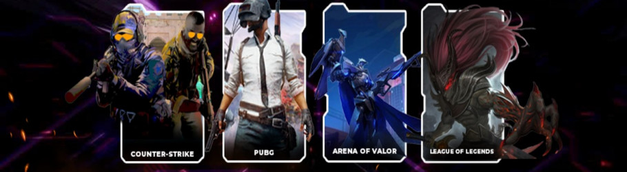 esportsvn520vn