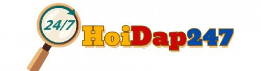 hoidap247co