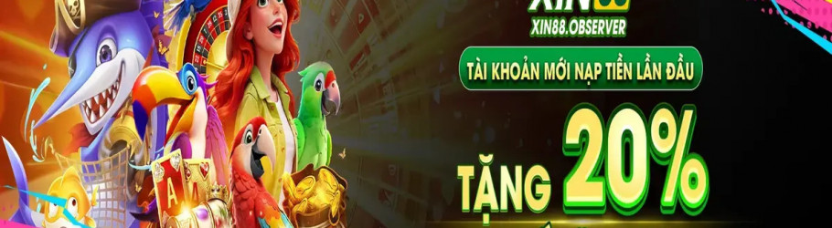 xin88observer